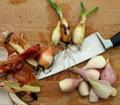Egyptian onions